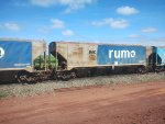 RUMO HPT-032955-0